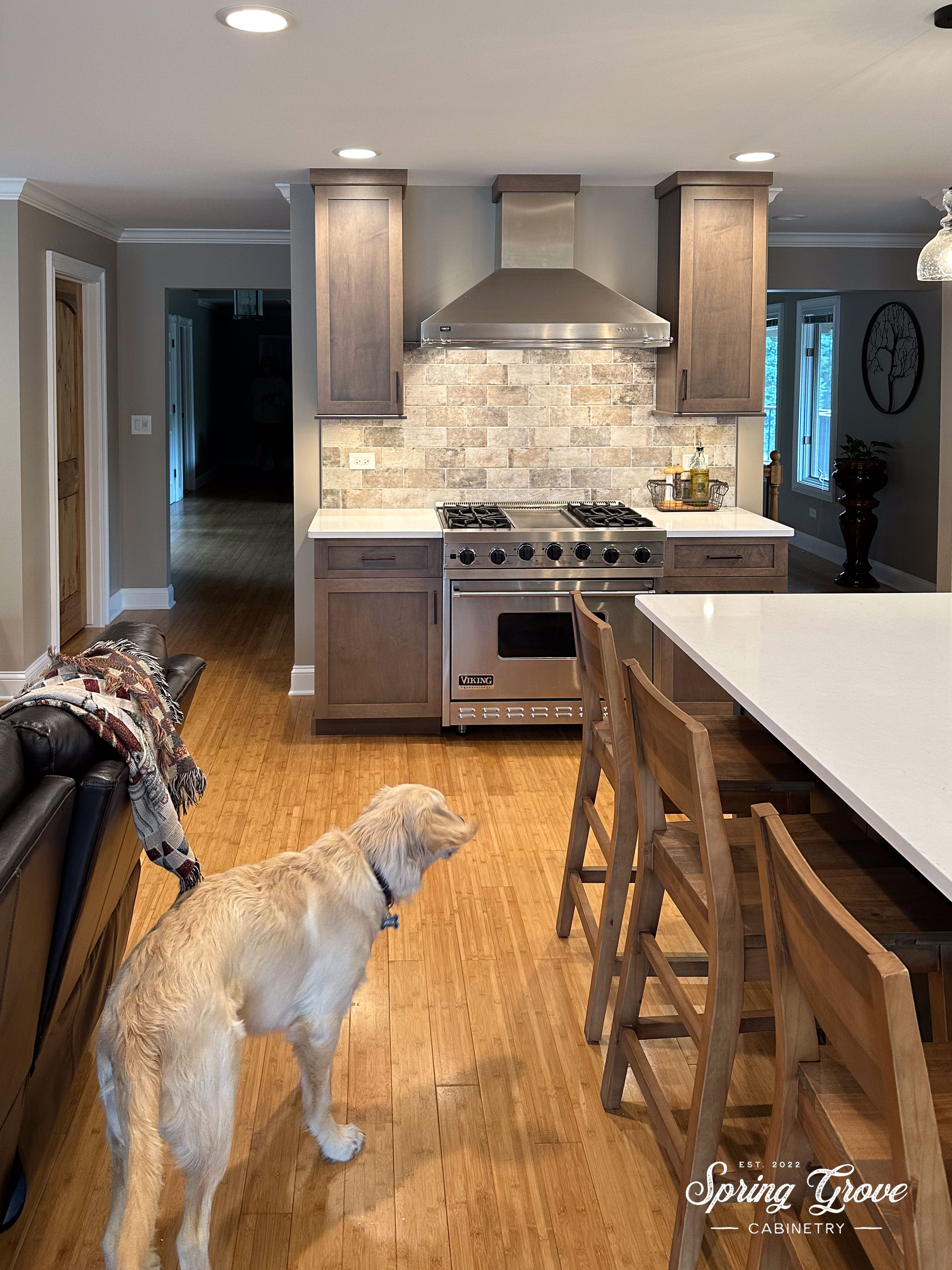 Woof. Arlo, the doggie was already to help.